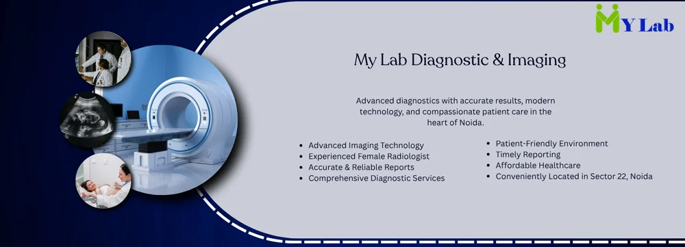 My Lab